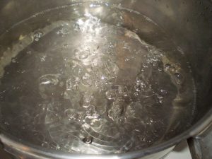 Wasser für Weißdornsaft kochen.