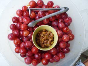 Früchte für Kriecherlmarmelade entkernen.