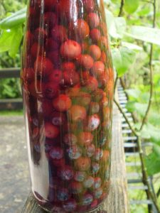 Fermentierte Schlehen im Glas.