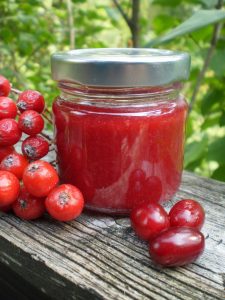 Fertige Mehlbeere-Dirndl-Marmelade im Glas.