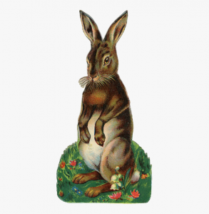 Osterhase