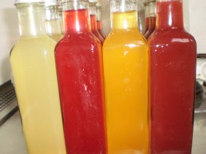 Fertige Wildfruchtessige in der Flasche