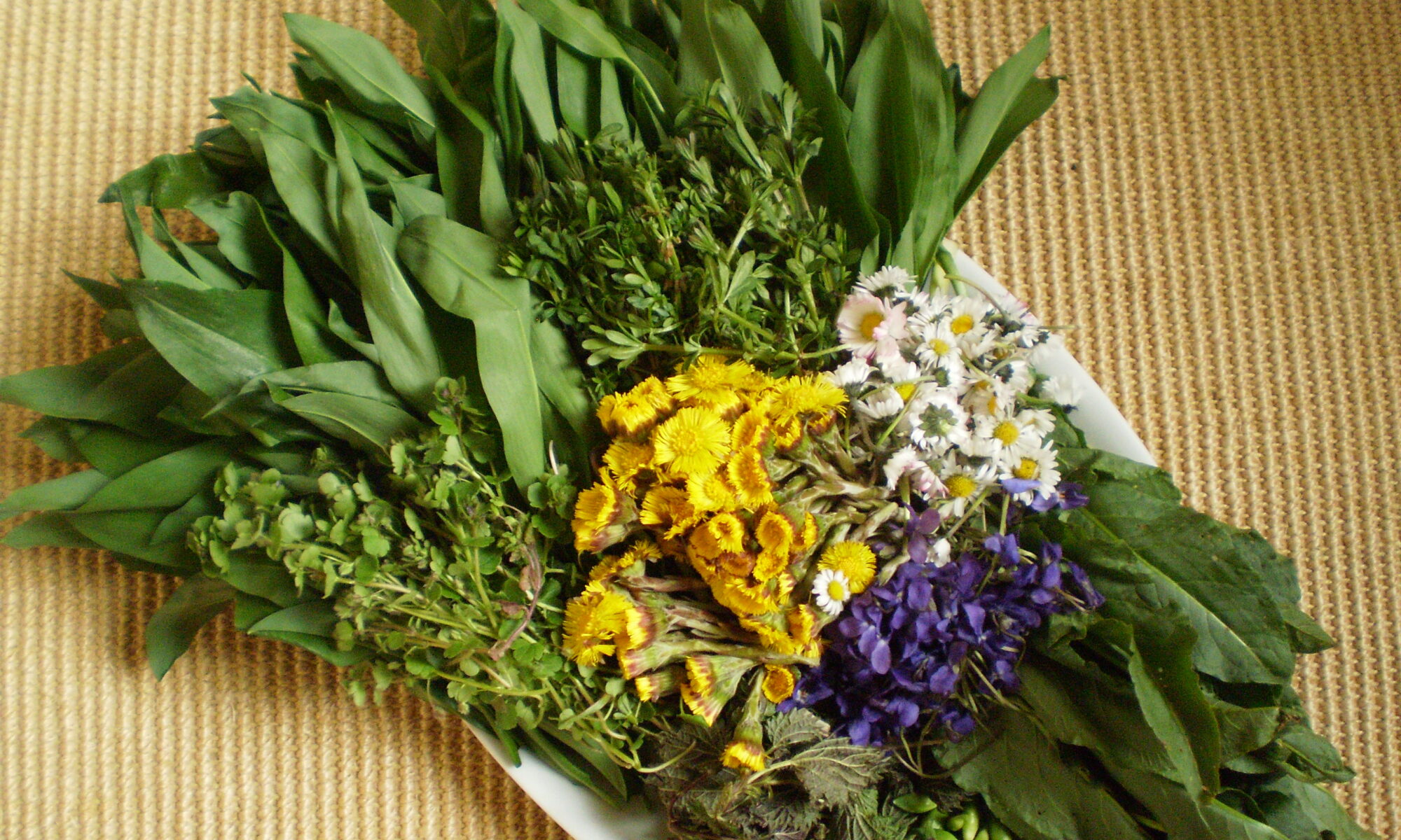 Gesammelte Frühlingskräuter und Wildblumen