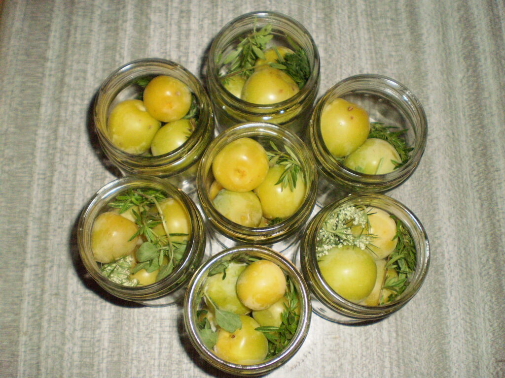 Früchte und Wildkräuter für fermentierte Kriecherln