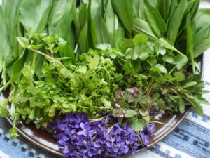 Gesammelte Frühlingskräuter