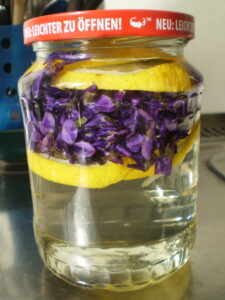 Ansatz für Veilchensirup, Veilchenblüten und Zitronenscheiben im Glas